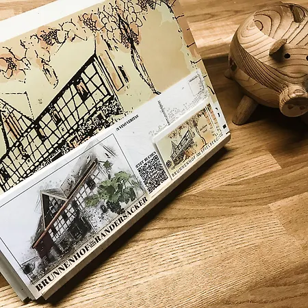 Brunnenhof - Kleine 3* 란데르자커