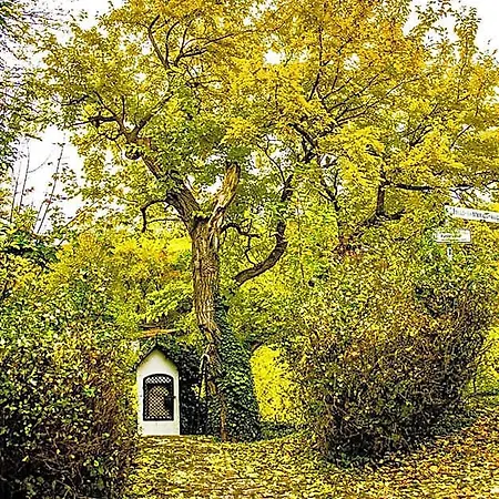 Brunnenhof - Kleine מלון ראנדרסאקר