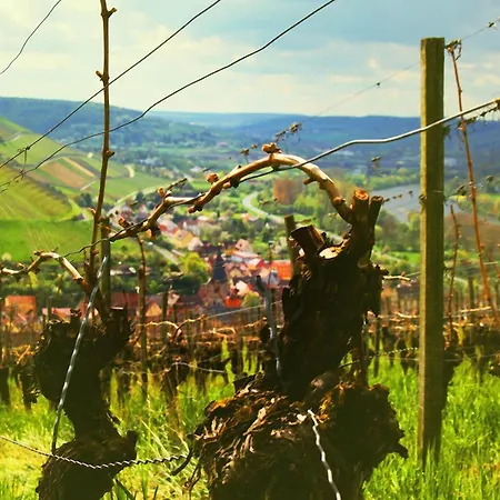 Brunnenhof - Kleine 3*
